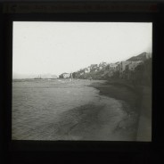 Böhl glass slide 61.1/1636